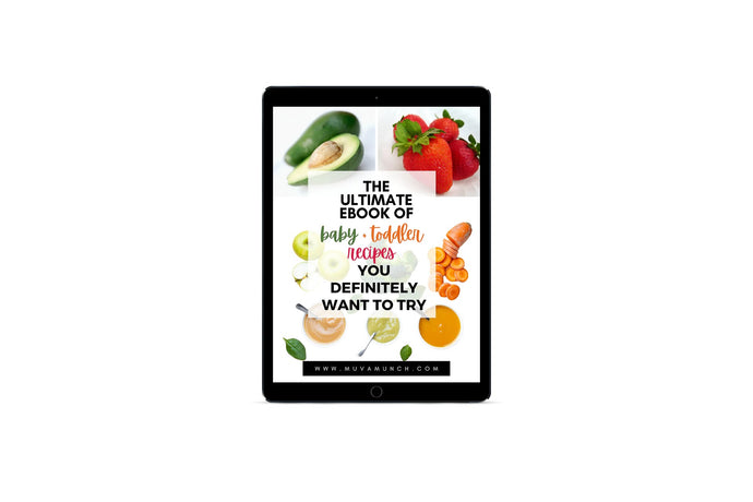 organic baby food book, ebook for baby food recipes